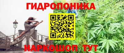 индика Изобильный