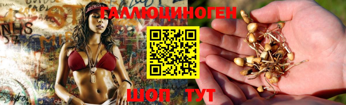 Галлюциногенные грибы Cubensis  купить   Люберцы  Вход с VPN 